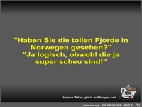 Haben Sie die tollen Fjorde in Norwegen gesehen?