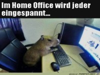 Flei�iger Mitarbeiter