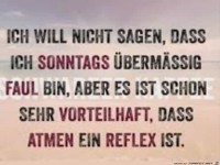 Ich will nicht sagen