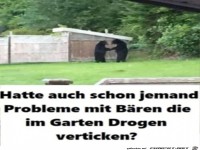 Bren im Garten