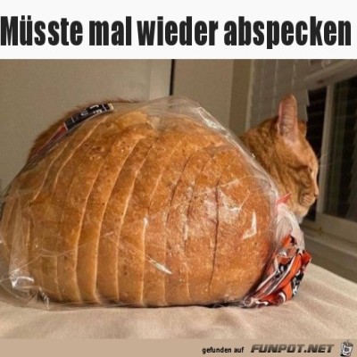 Abspecken-ist-angesagt.jpg von Supersusi