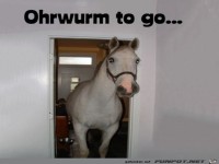 Was ist das f�r ein Ohrwurm