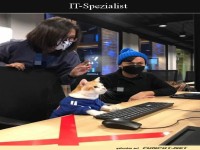 Katze als IT-Spezialist im B�ro