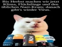 Katze und Mikrofone - Humorvoller Kommentar