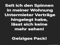 Spinnen in der Wohnung