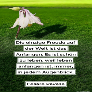 herz-Bild: die einzige freude auf der welt