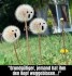 FunpotNews