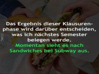 Studienwahl  la Sandwich-Style
