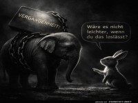 Ein Elefant, der Vergangenes nicht vergessen kann