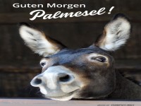 Fr�hst�ck mit dem charmanten Palmesel!