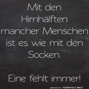 Die-Hirnhälften-mancher-Menschen.jpg von Felia-51