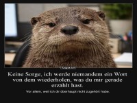 Der schweigsame Otter-Gentleman