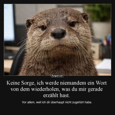 Der-schweigsame-Otter-Gentleman.jpg von Josefin