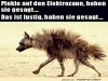 weiter