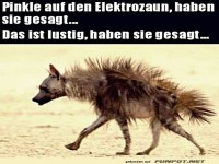 Sieht etwas zerrupft aus