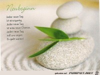 Neubeginn