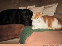 Benny u Paule 15 2 13 009