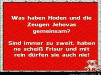 Zeugen Jehovas und Hoden