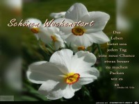 Schoenen Wochenstart