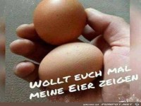 Meine Eier