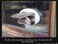 kalt draussen,....