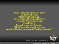 Zwei Urlauber k�mpfen beim Zelten mit einer Steckm�ckenplage