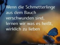 wenn die Schmetterlinge