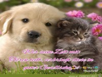 Zeit mit Tieren verbringen