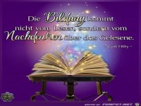 Die Bildung kommt nie vom lesen