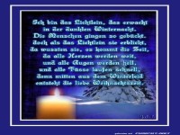 Ich bin das Lichtlein