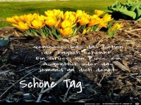 Sch�nen Tag