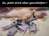 weiter