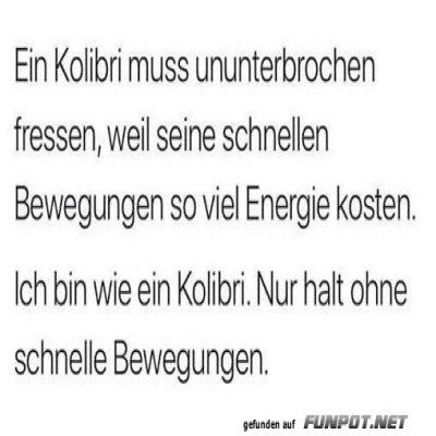 Kolibri-Logik-f&uuml;rs-Leben.jpg von Nele68