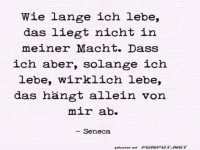 Leben: Wenn Seneca dein Life Coach w�re