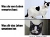 weiter