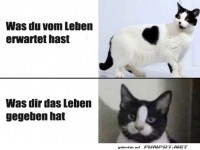 Was du vom Leben erwartet und bekommen hast