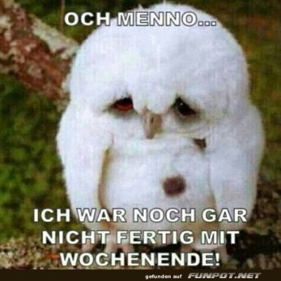 Bin-noch-nicht-fertig-mit-Wochenende.jpg von Leif