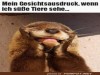 weiter