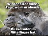 weiter