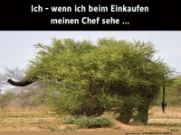 Getarnt wie ein Profi!