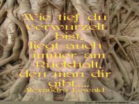 Wie tief du verwurzelt bist