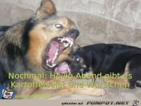 Kartoffelsalat und Würstchen