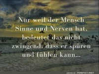 nur-weil-der-mensch-sinne-und-nerven-hat-