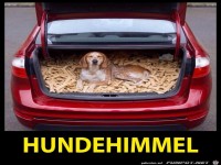 Hundehimmel