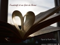 Freundschaft ist eine Geste