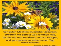 Von guten Maechten geborgen