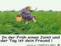 in der Fr�he