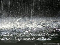 schalt den Kopf ab.......