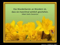 Das Wunderbarste