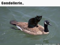 Mitfahrgelegenheit